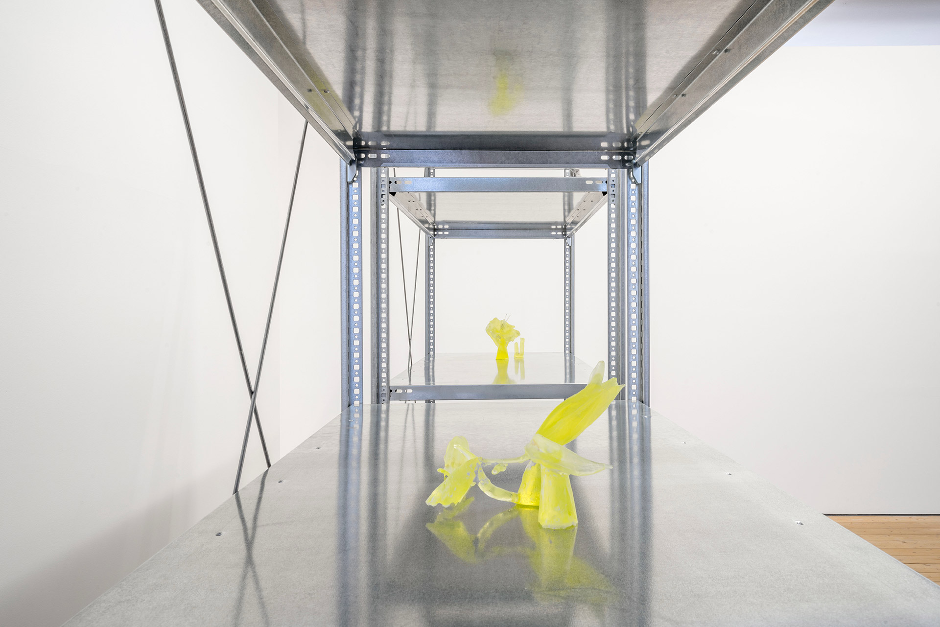 Sophia Hallmann, Detailansicht Lilium Radiantes, 2023. Photo: Kai-Hendrik Windeler